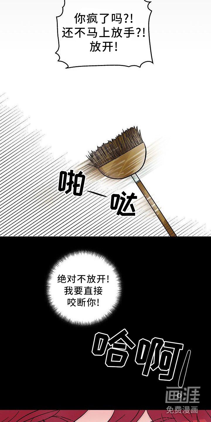 第4章：宠物