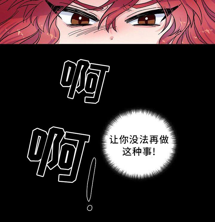 第4章：宠物