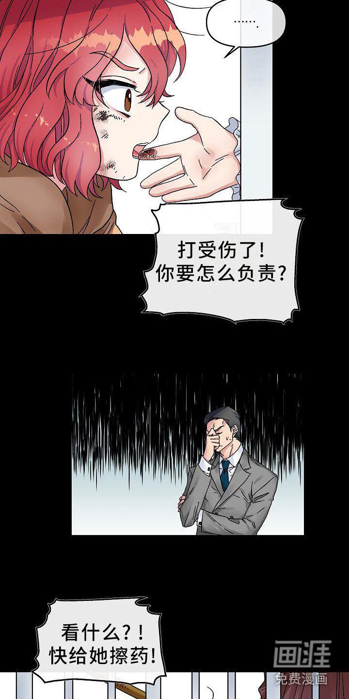 第4章：宠物