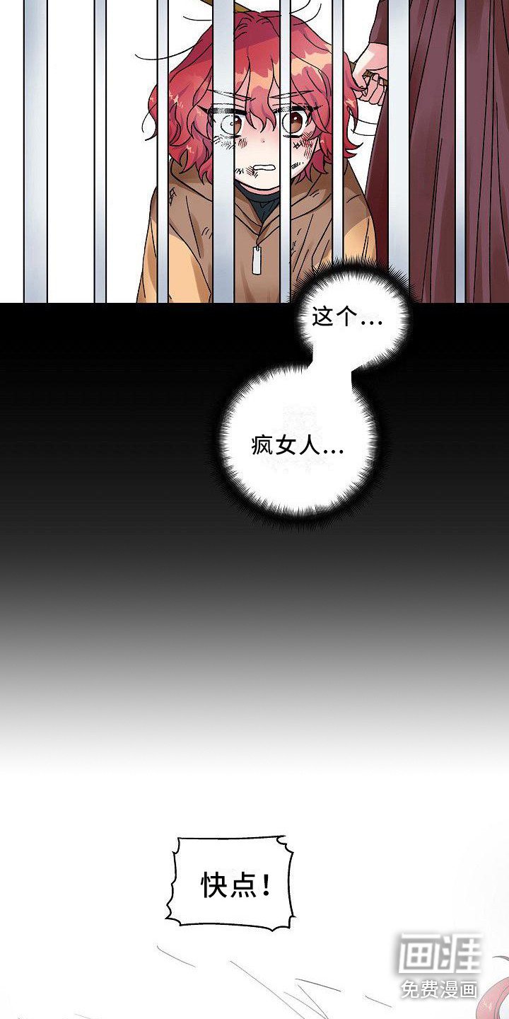 第4章：宠物