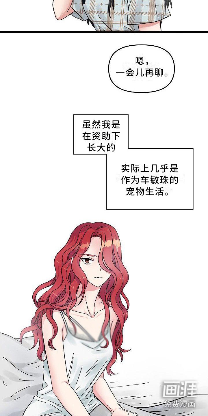 第4章：宠物