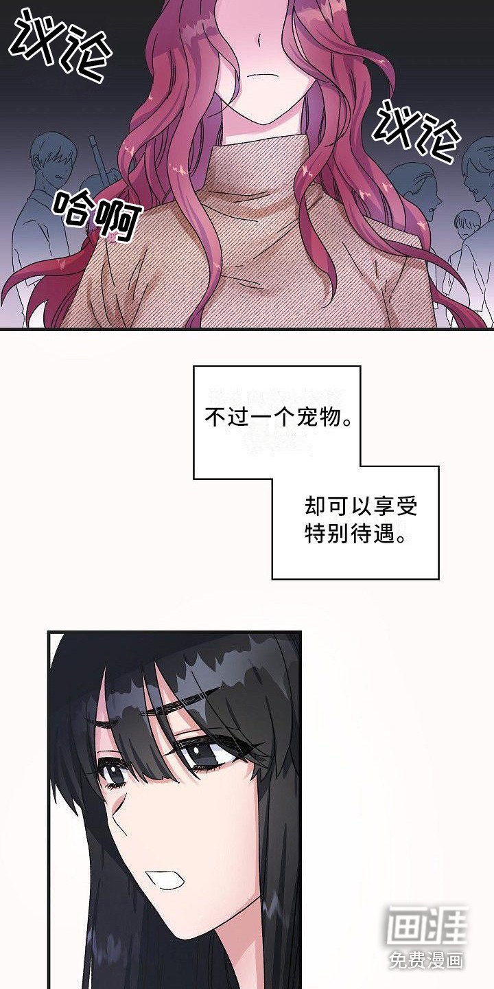 第5章：特别待遇