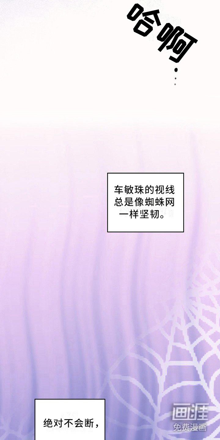 第6章：蛛网一般
