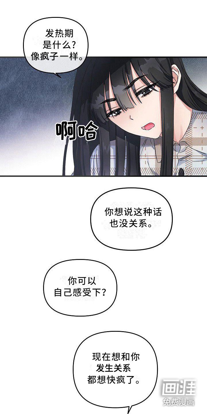 第6章：蛛网一般