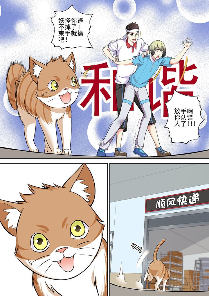 第12章：