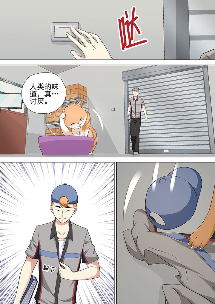 第13章：