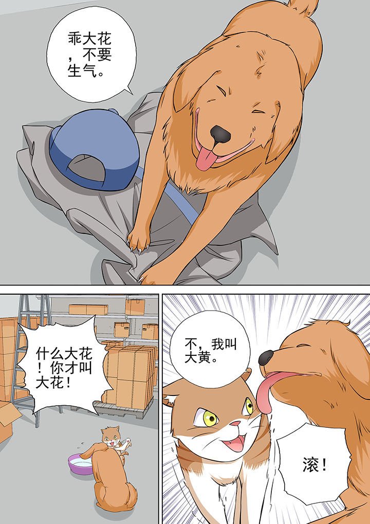 第13章：