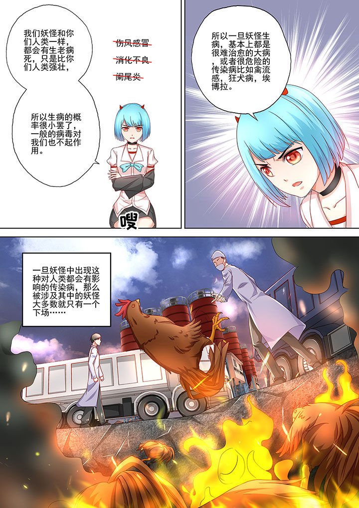 第6章：