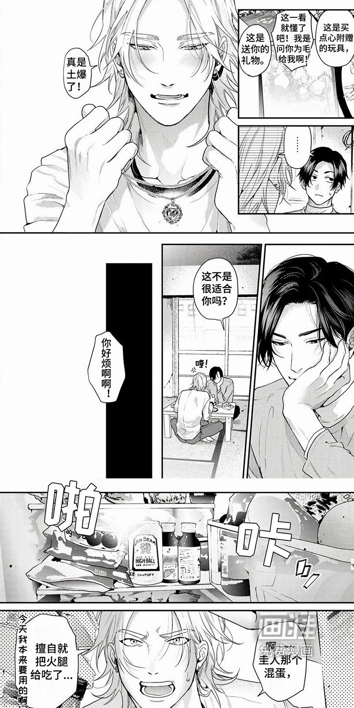 第10章：项链
