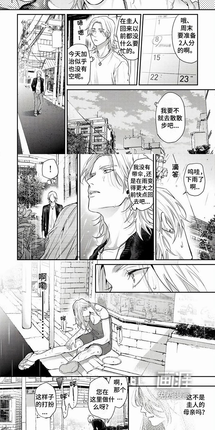 第10章：项链