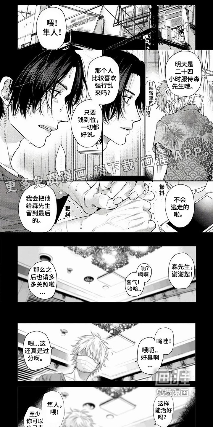 第18章：情感寄托