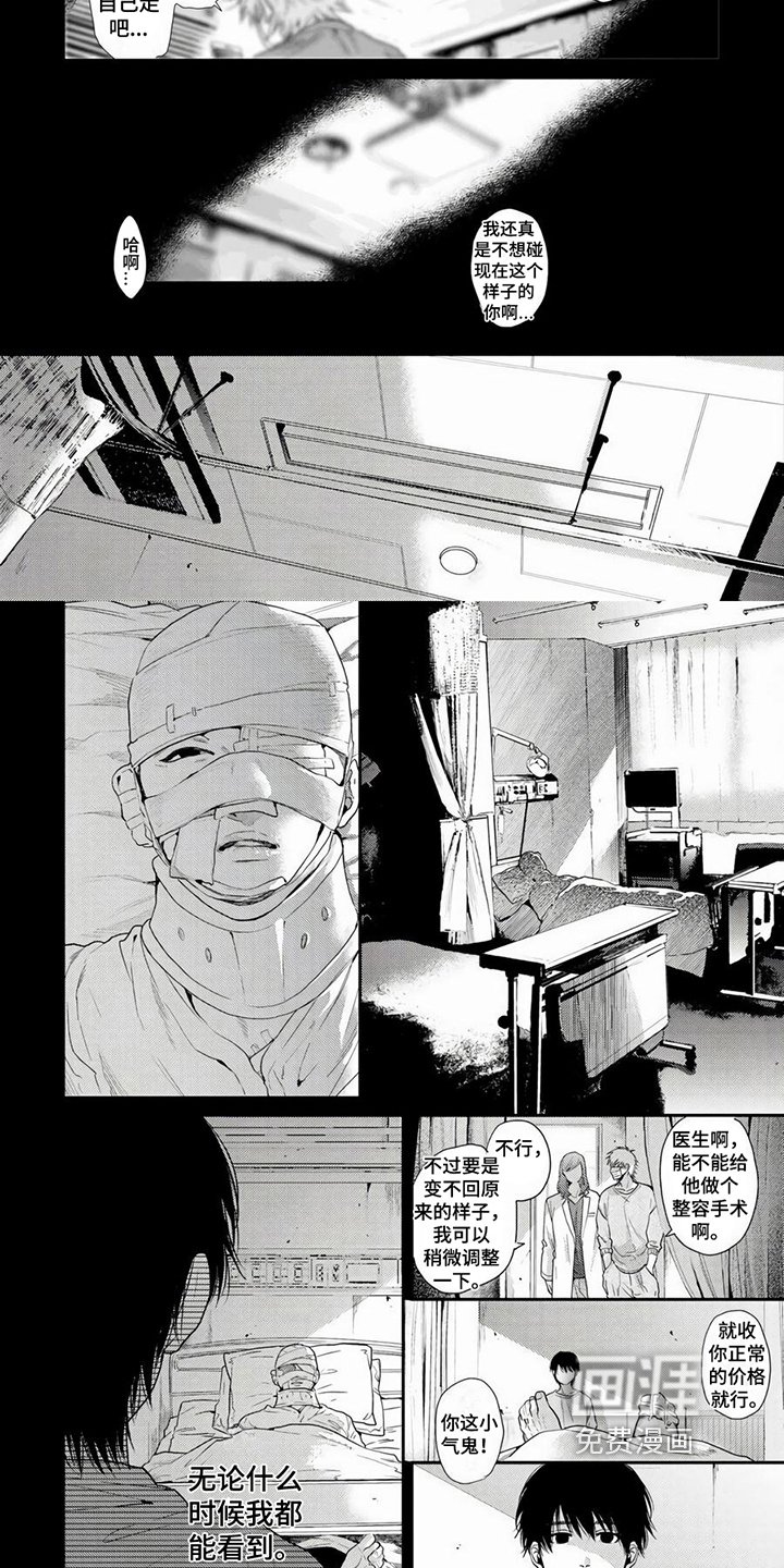 第18章：情感寄托