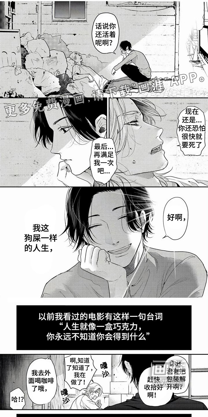 第5章：拍摄