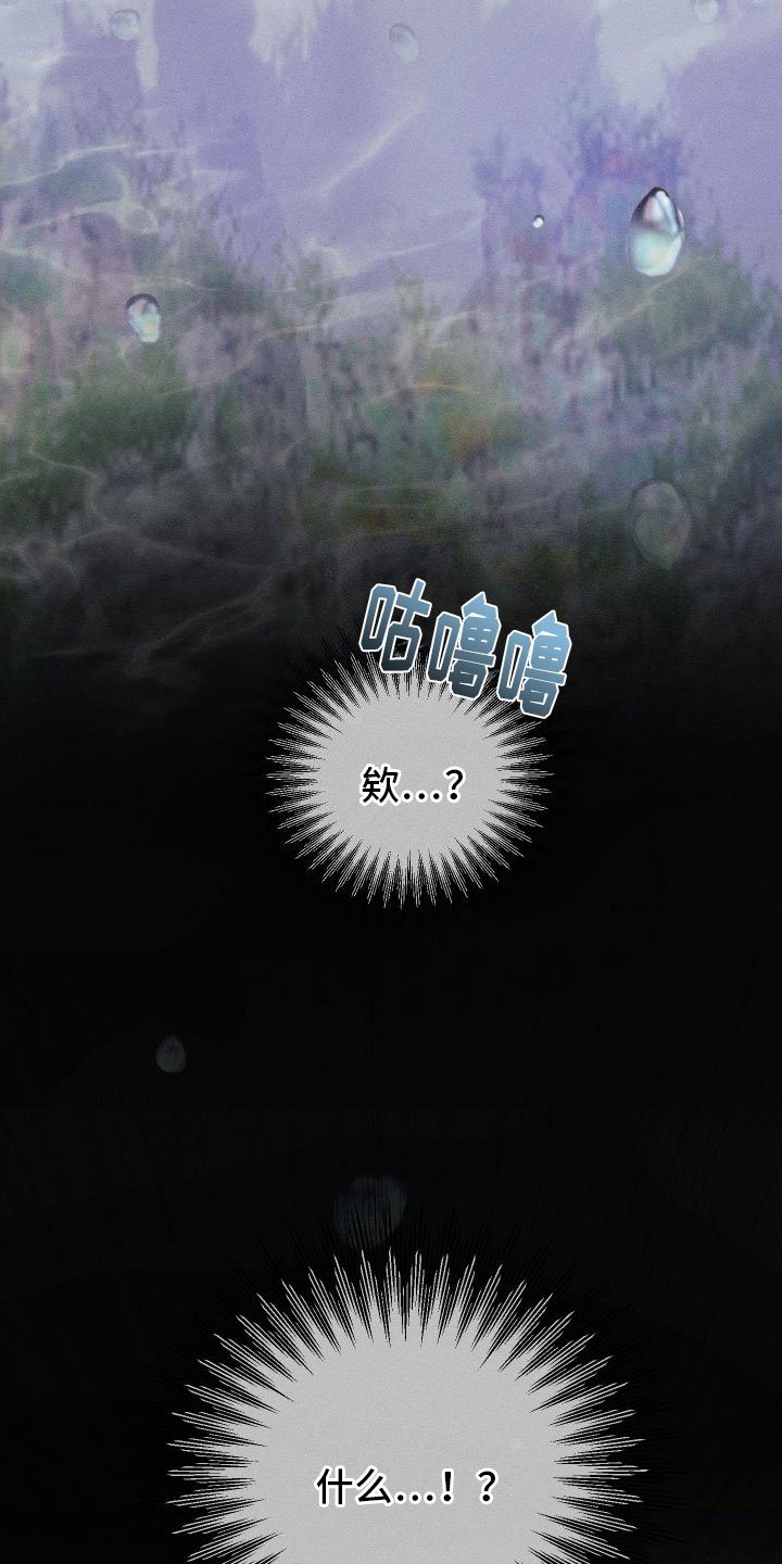 第1章：许愿