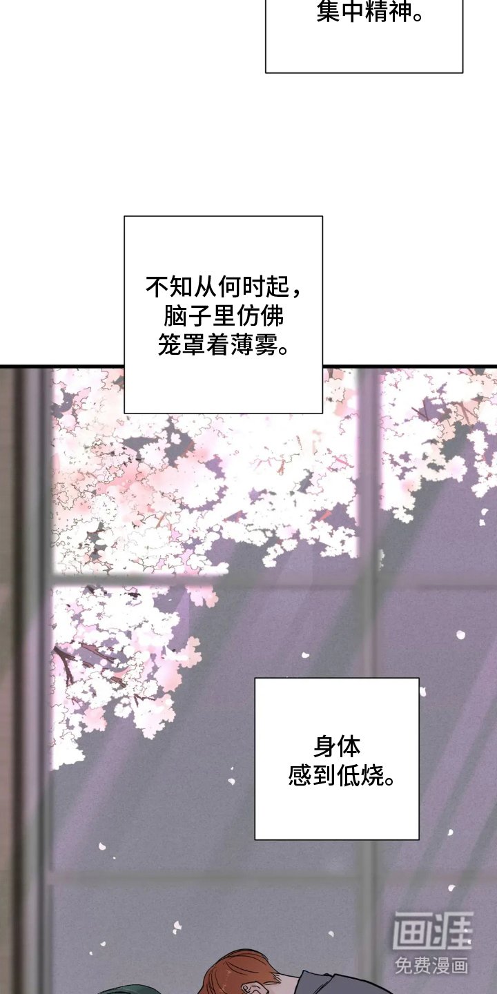 第13章：位置