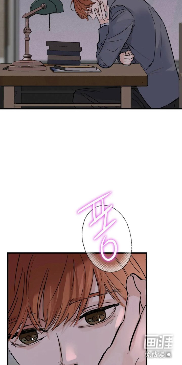 第13章：位置