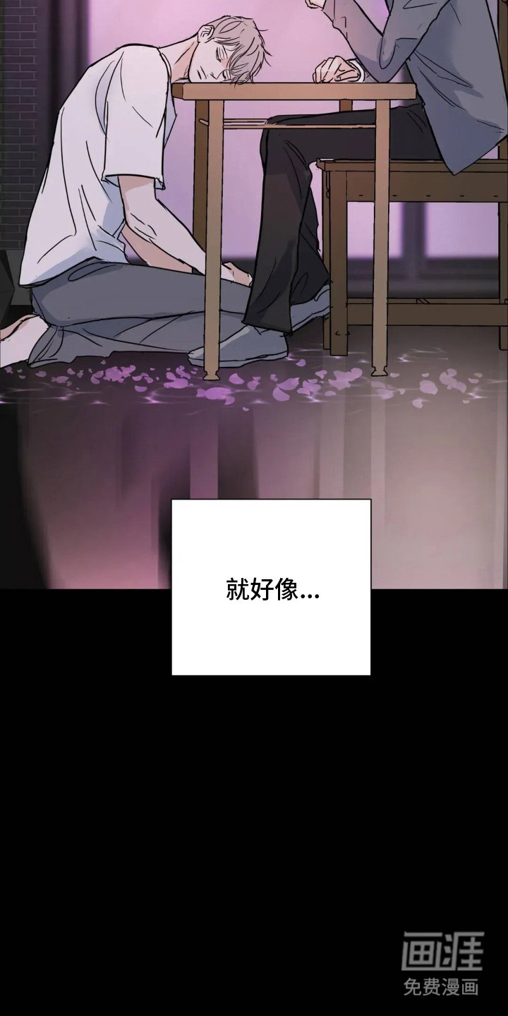 第13章：位置