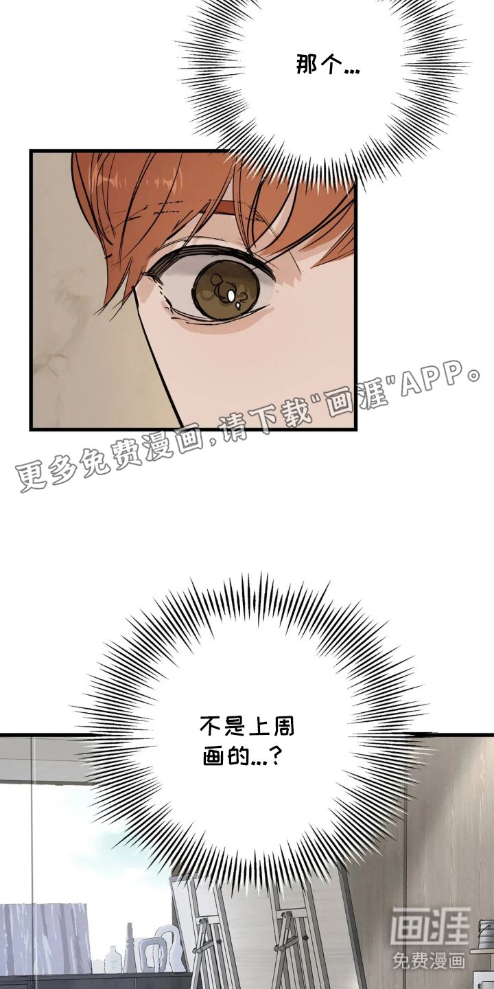 第17章：差异