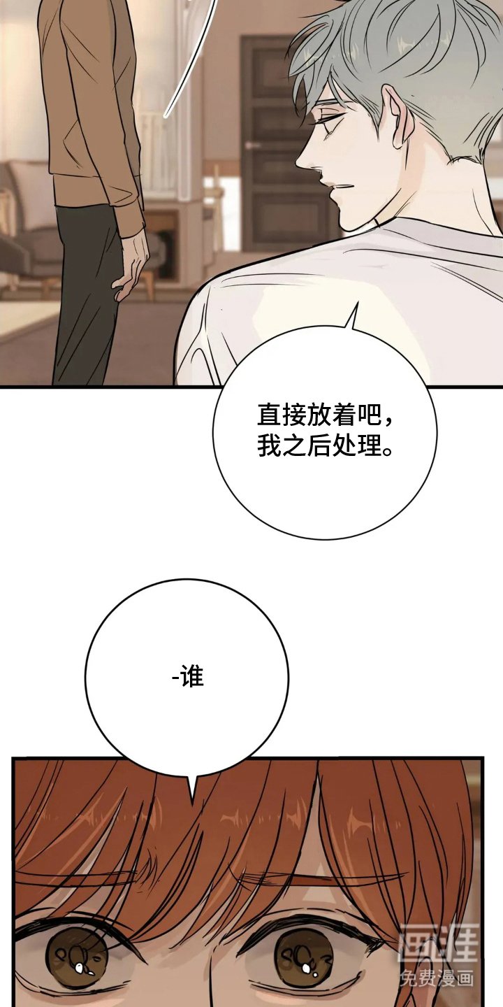 第17章：差异