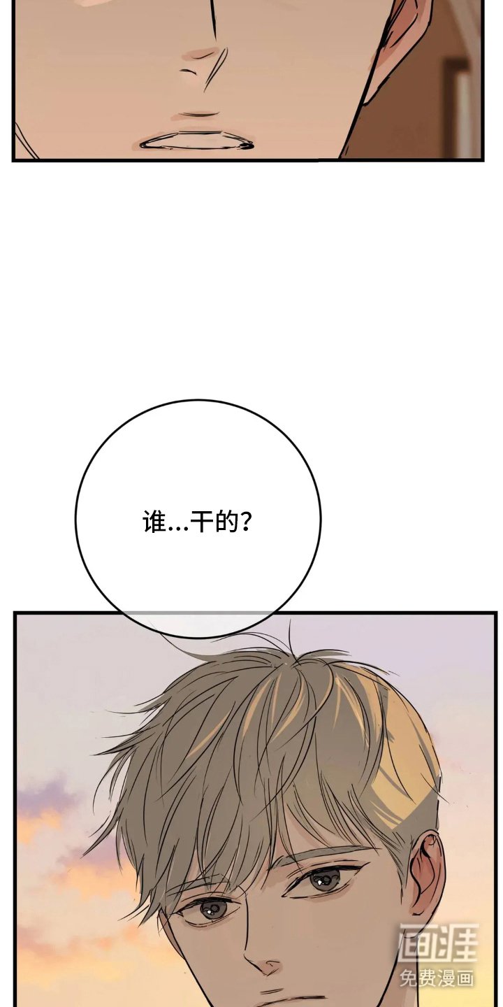 第17章：差异
