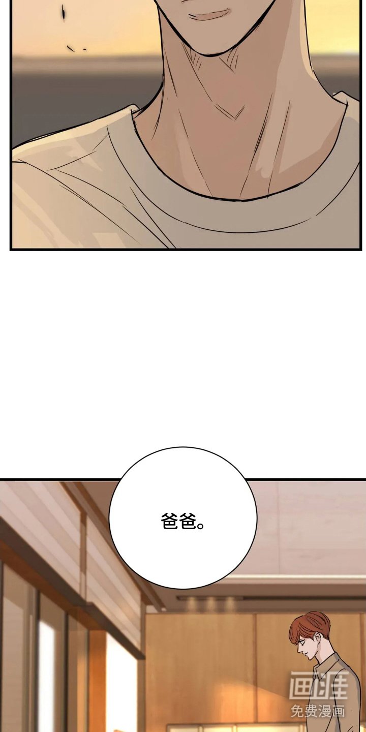第17章：差异