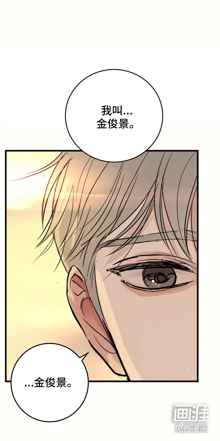 第18章：还会来吗