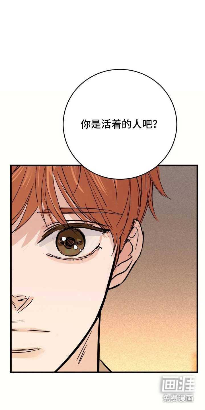 第18章：还会来吗