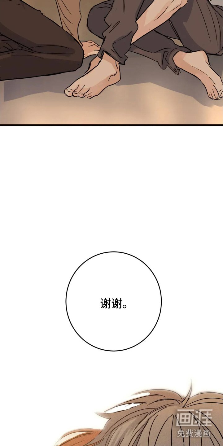第18章：还会来吗