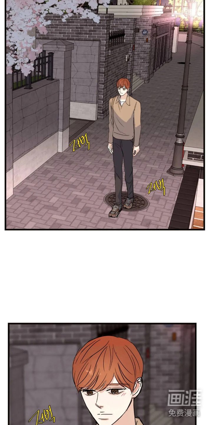 第18章：还会来吗