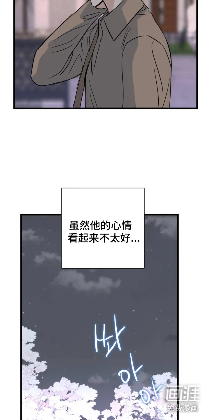 第18章：还会来吗