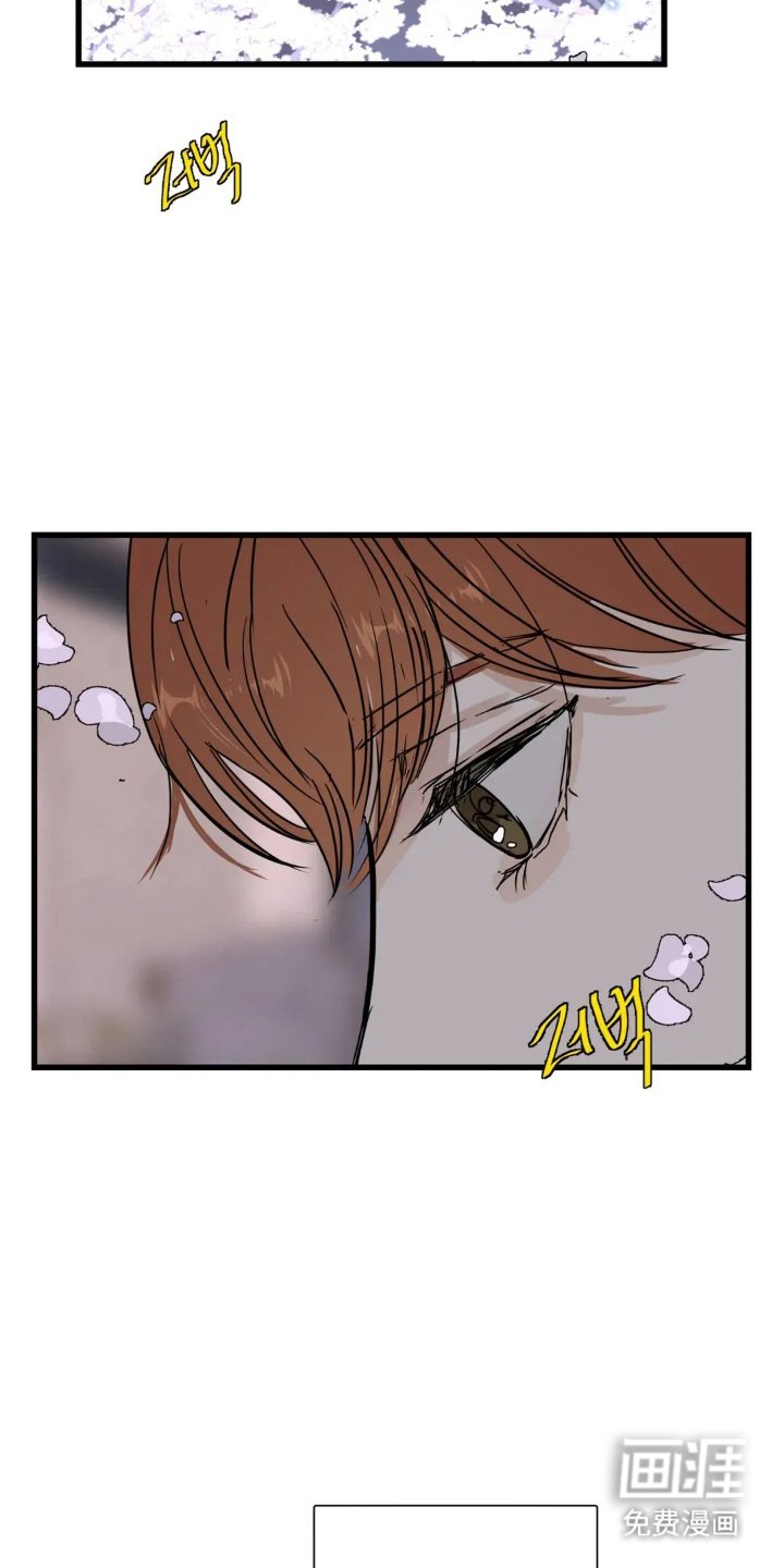 第18章：还会来吗