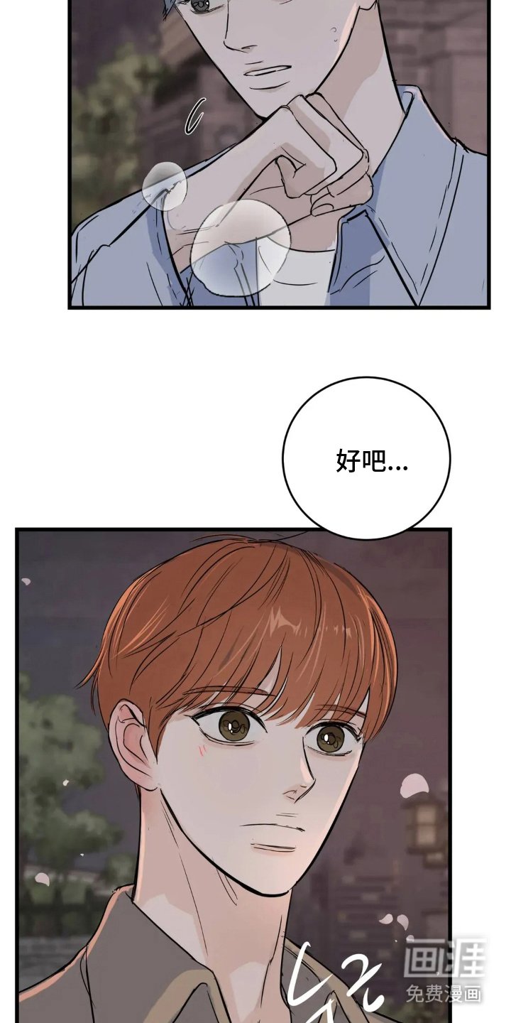 第18章：还会来吗