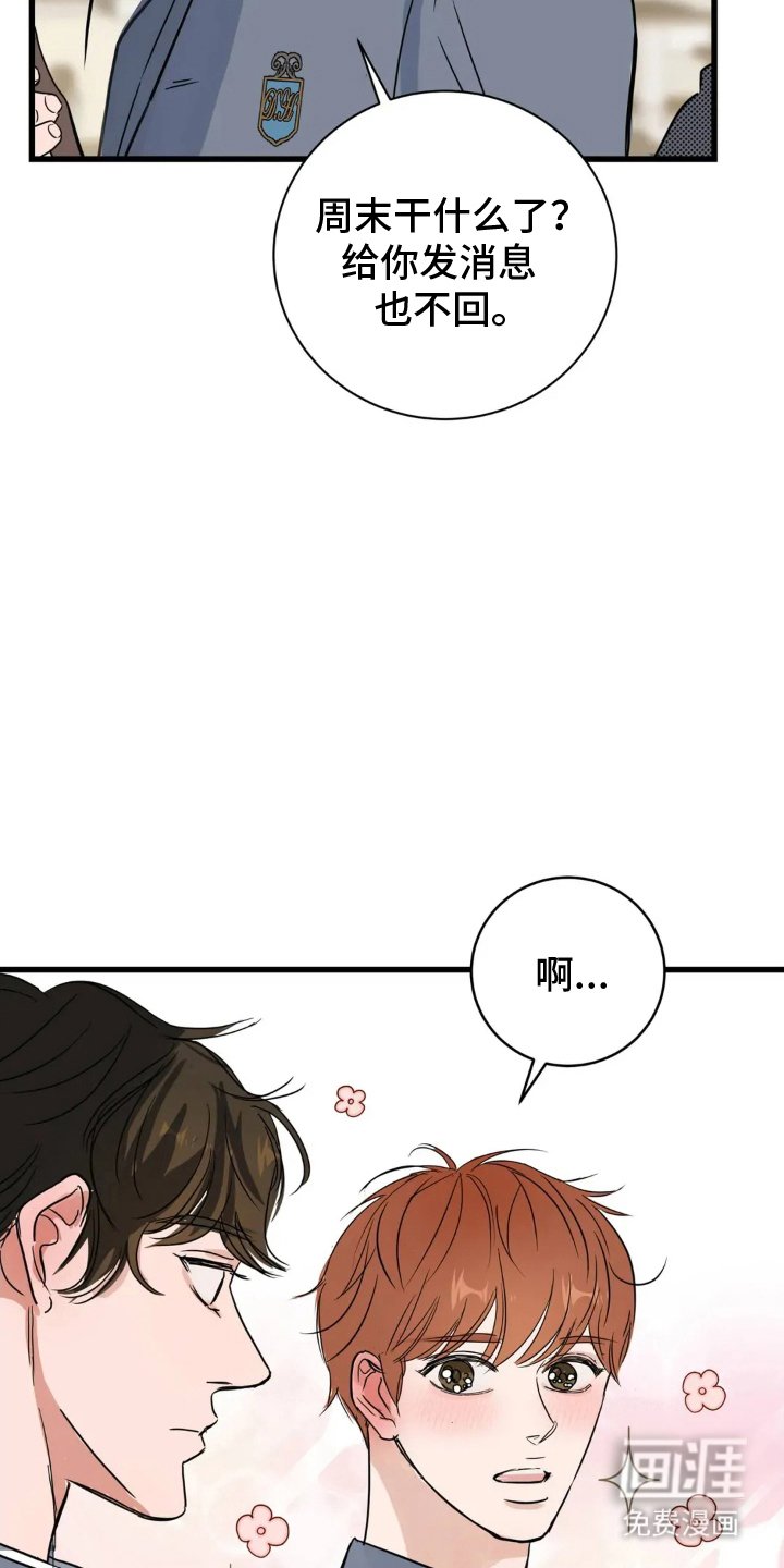 第20章：论述比赛