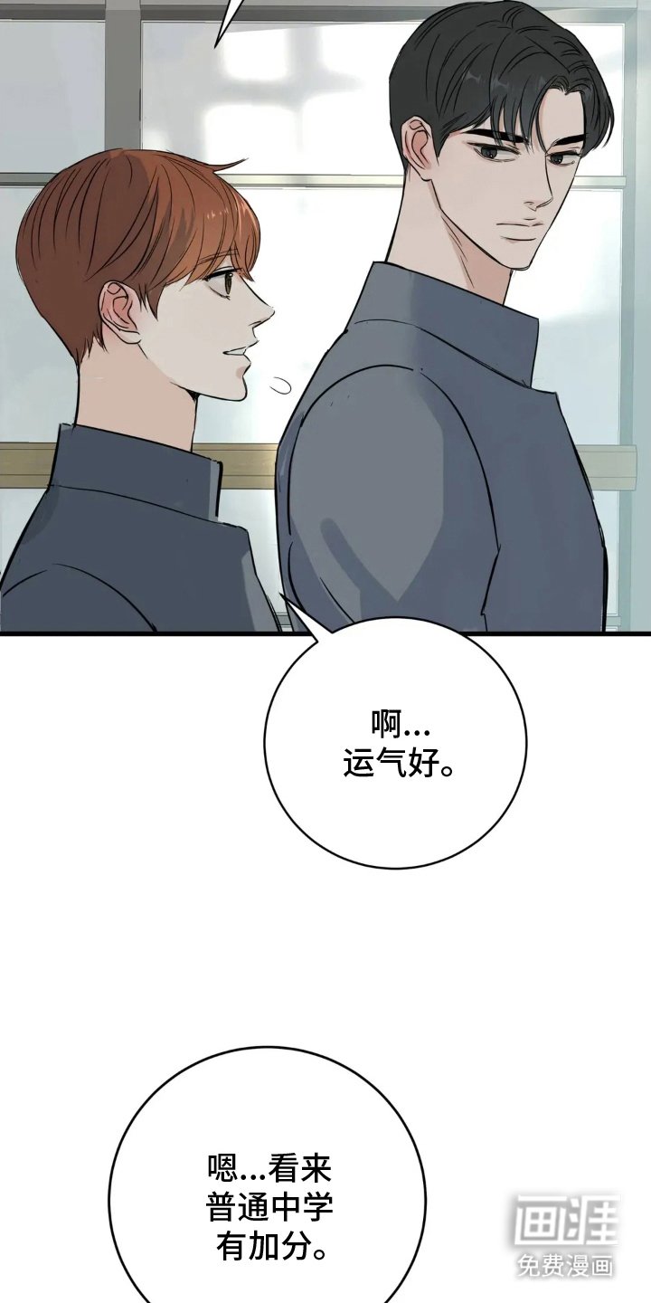 第20章：论述比赛