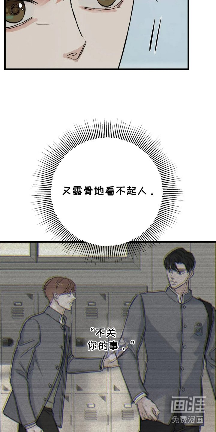 第20章：论述比赛