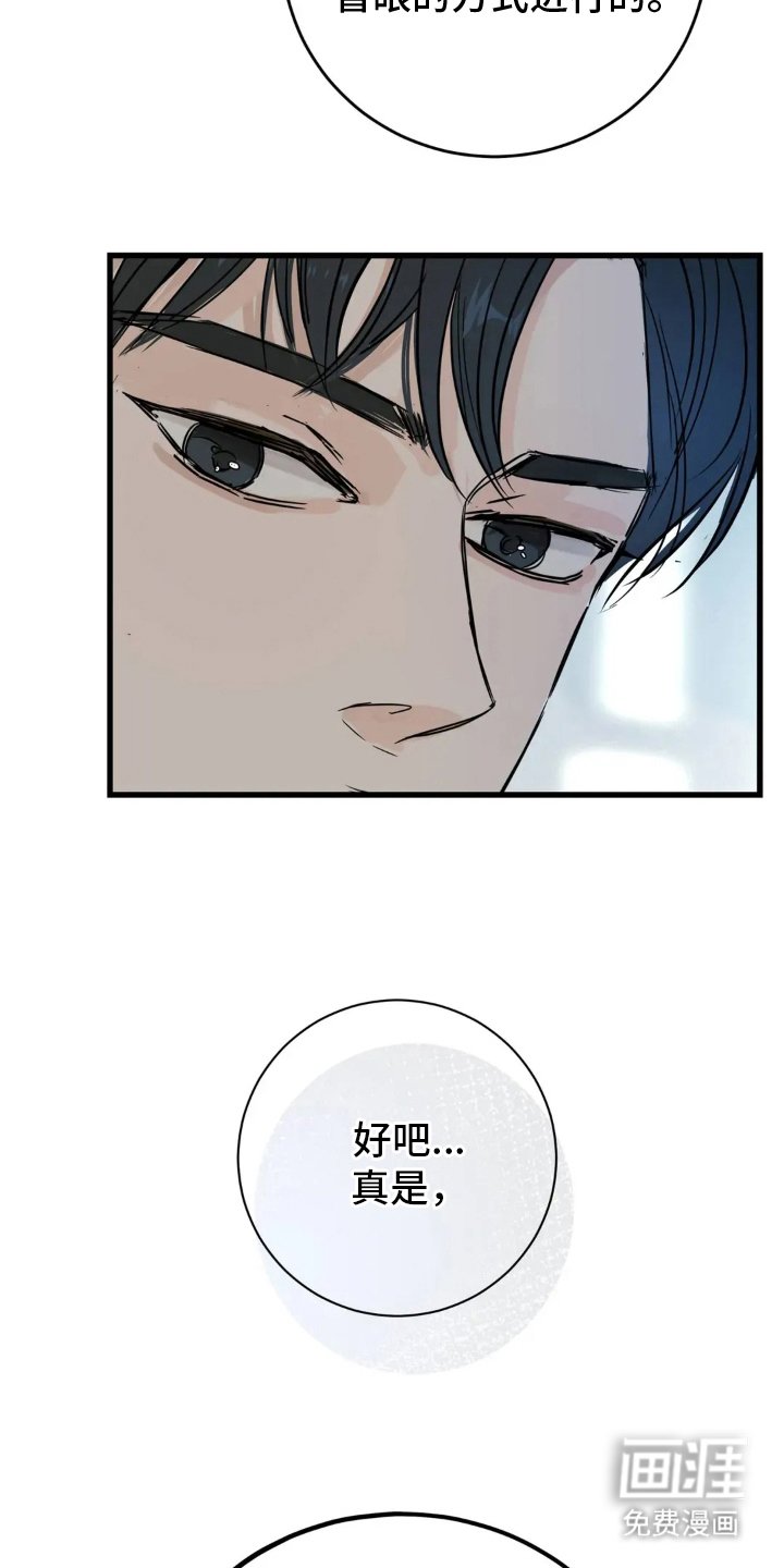 第20章：论述比赛