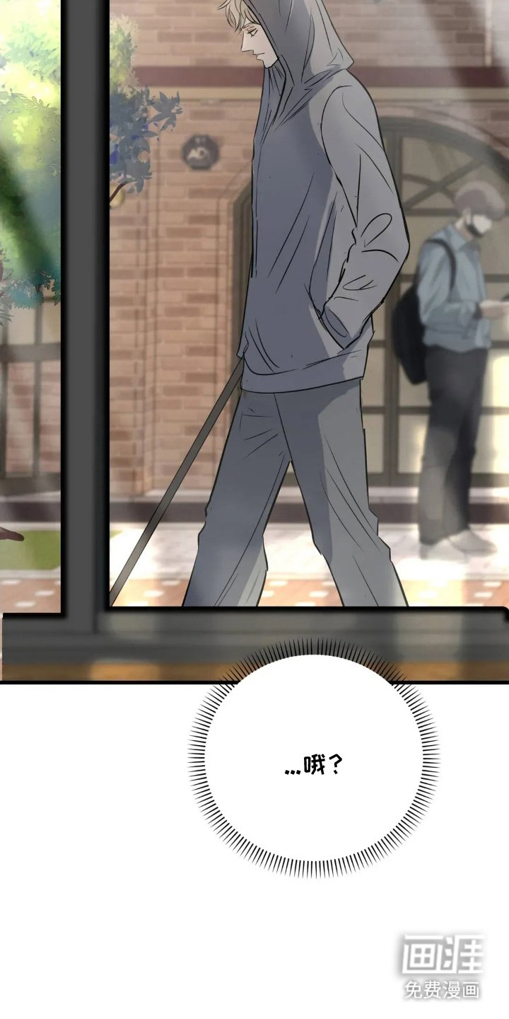 第23章：错过时机