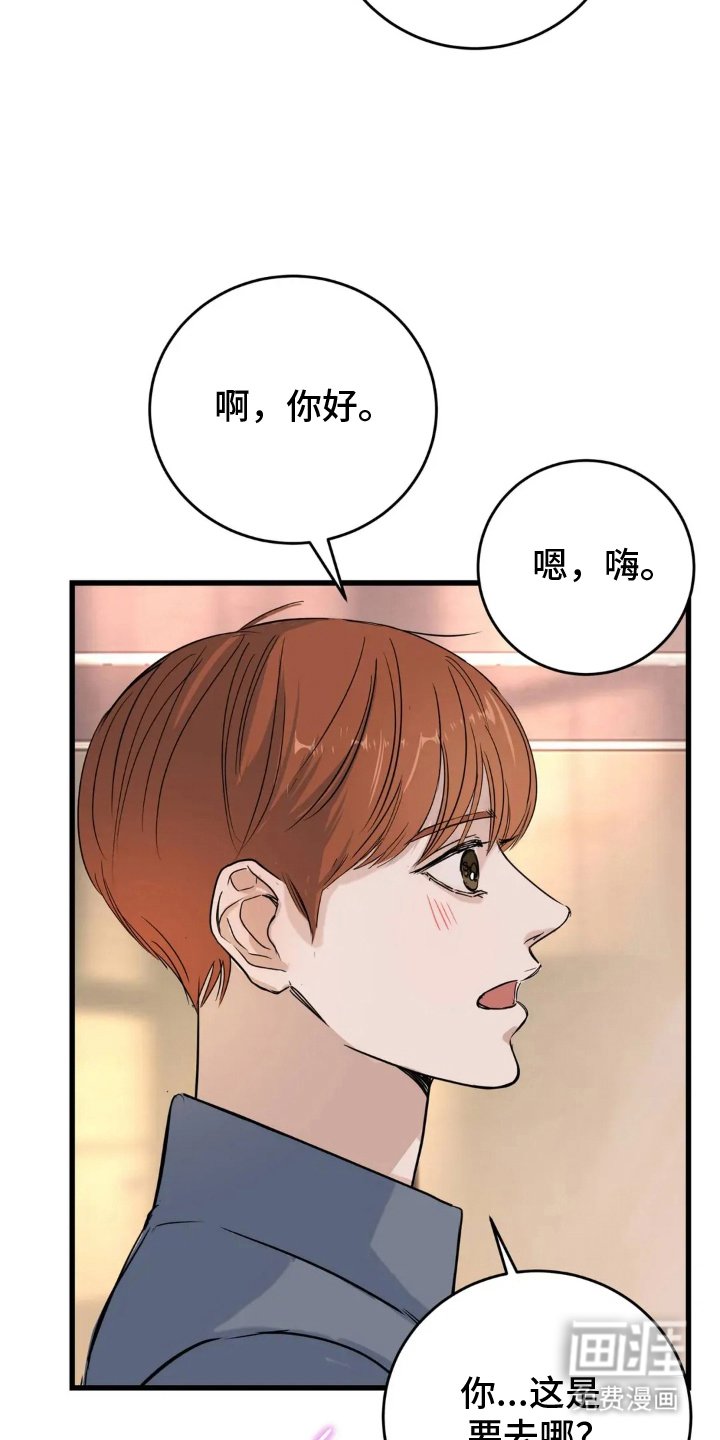 第23章：错过时机