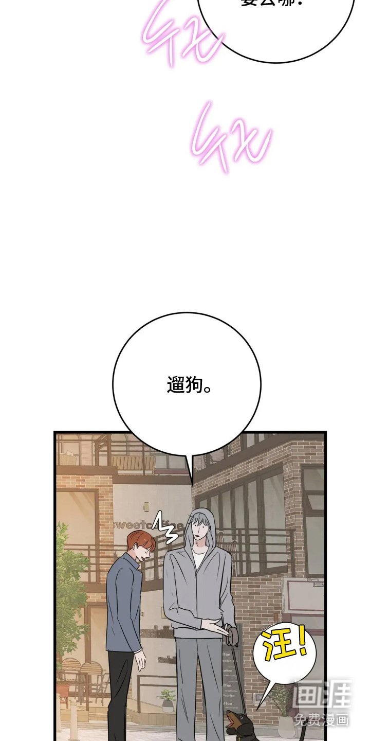 第23章：错过时机
