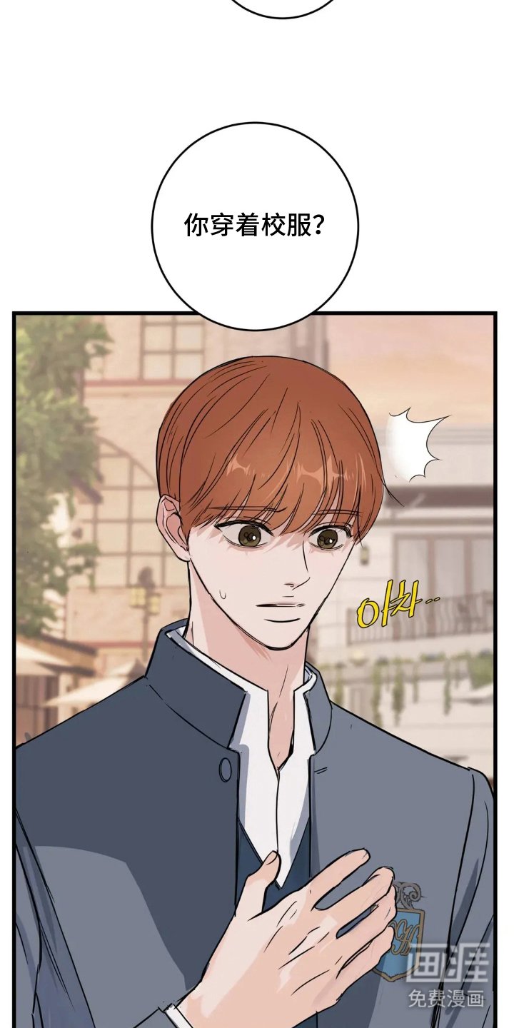 第23章：错过时机