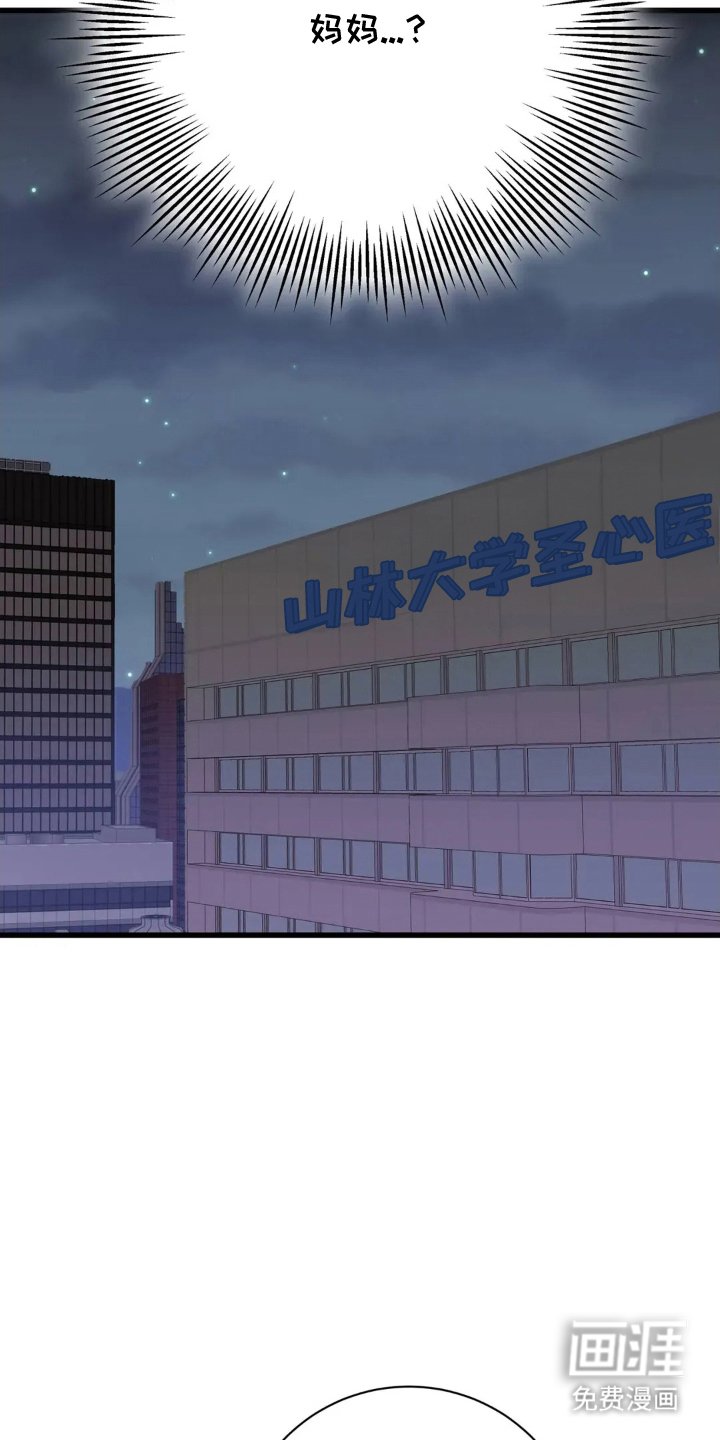 第25章：郑重的告白