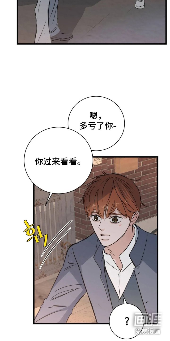 第25章：郑重的告白