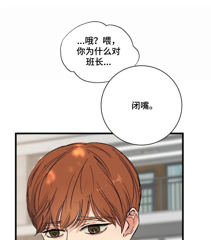 第29章：重新认识一下