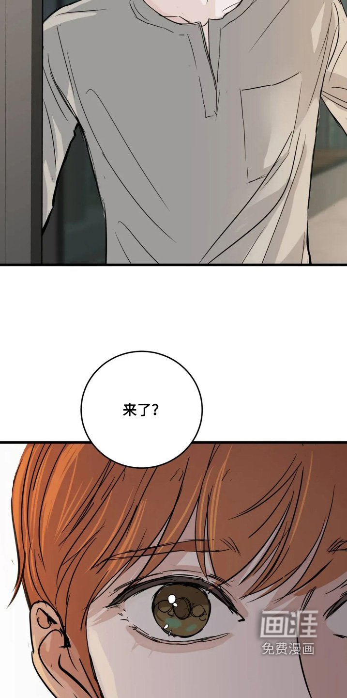 第29章：重新认识一下