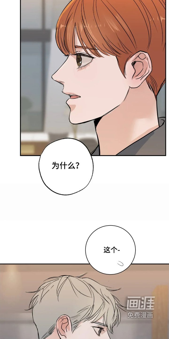 第30章：还能为什么