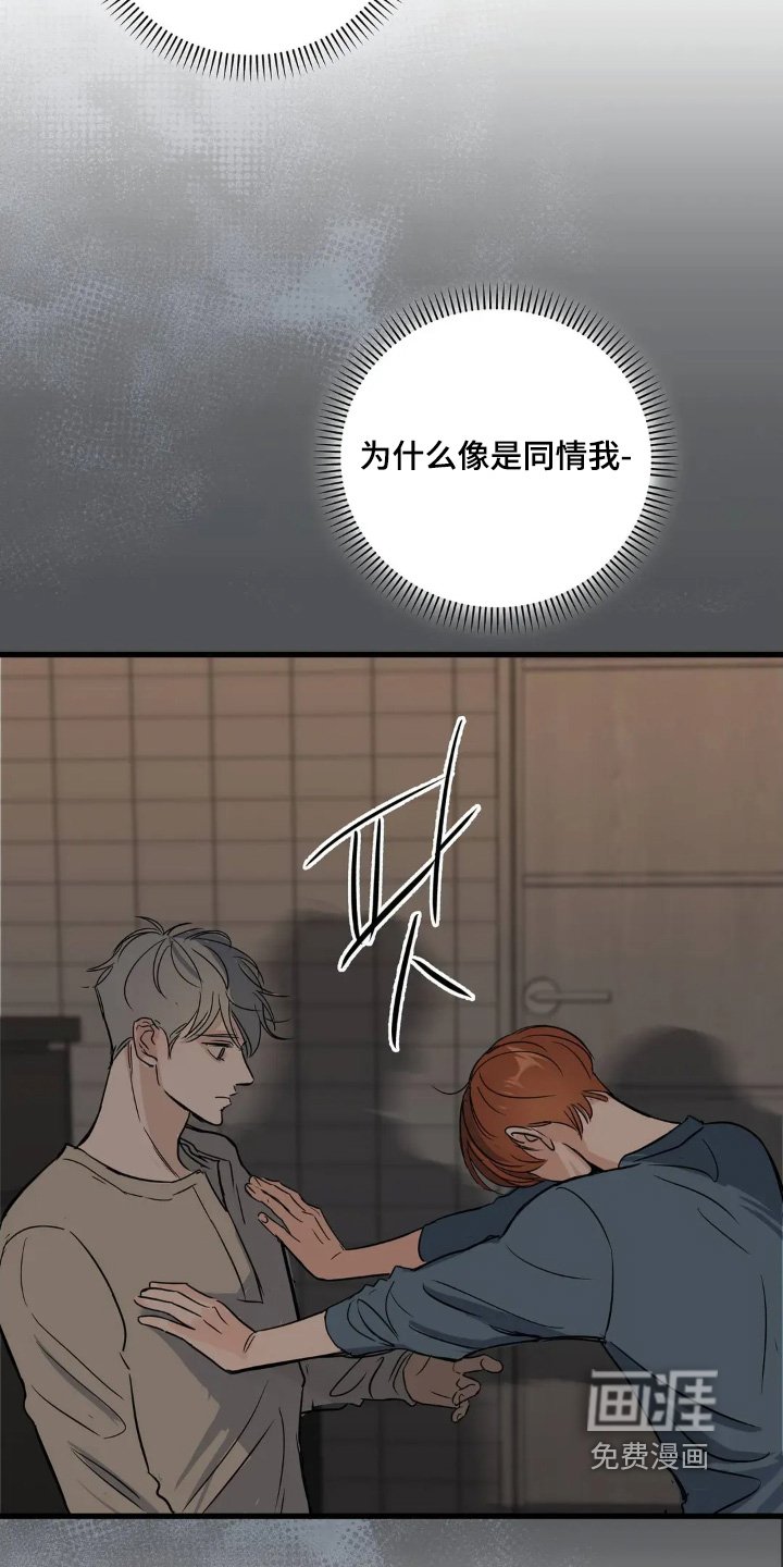 第33章：照片