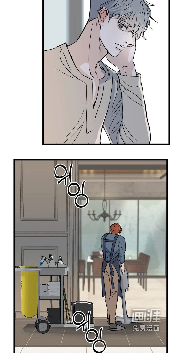第33章：照片