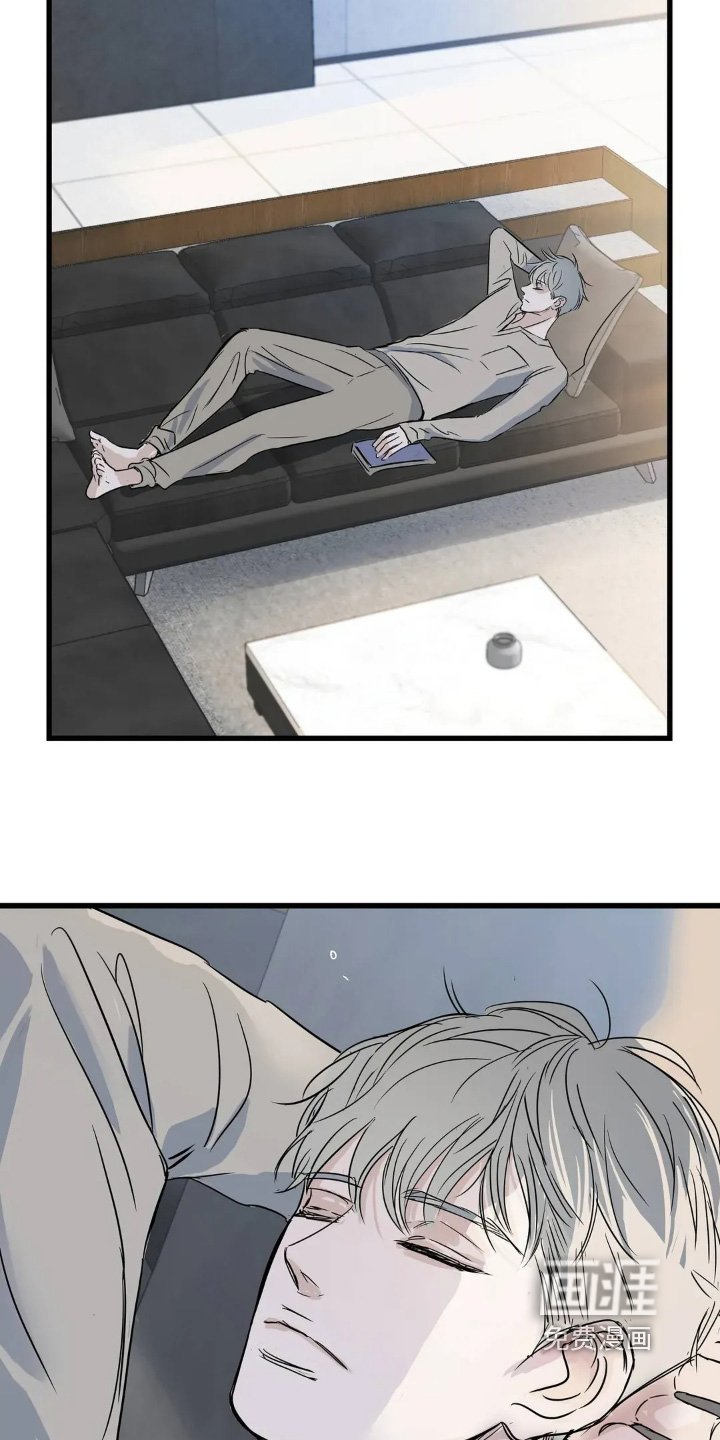 第33章：照片