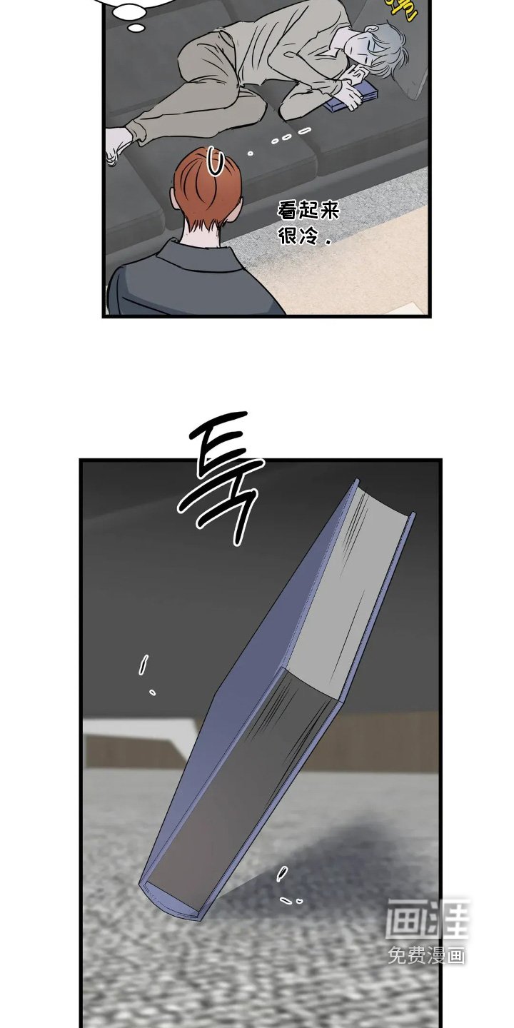 第33章：照片