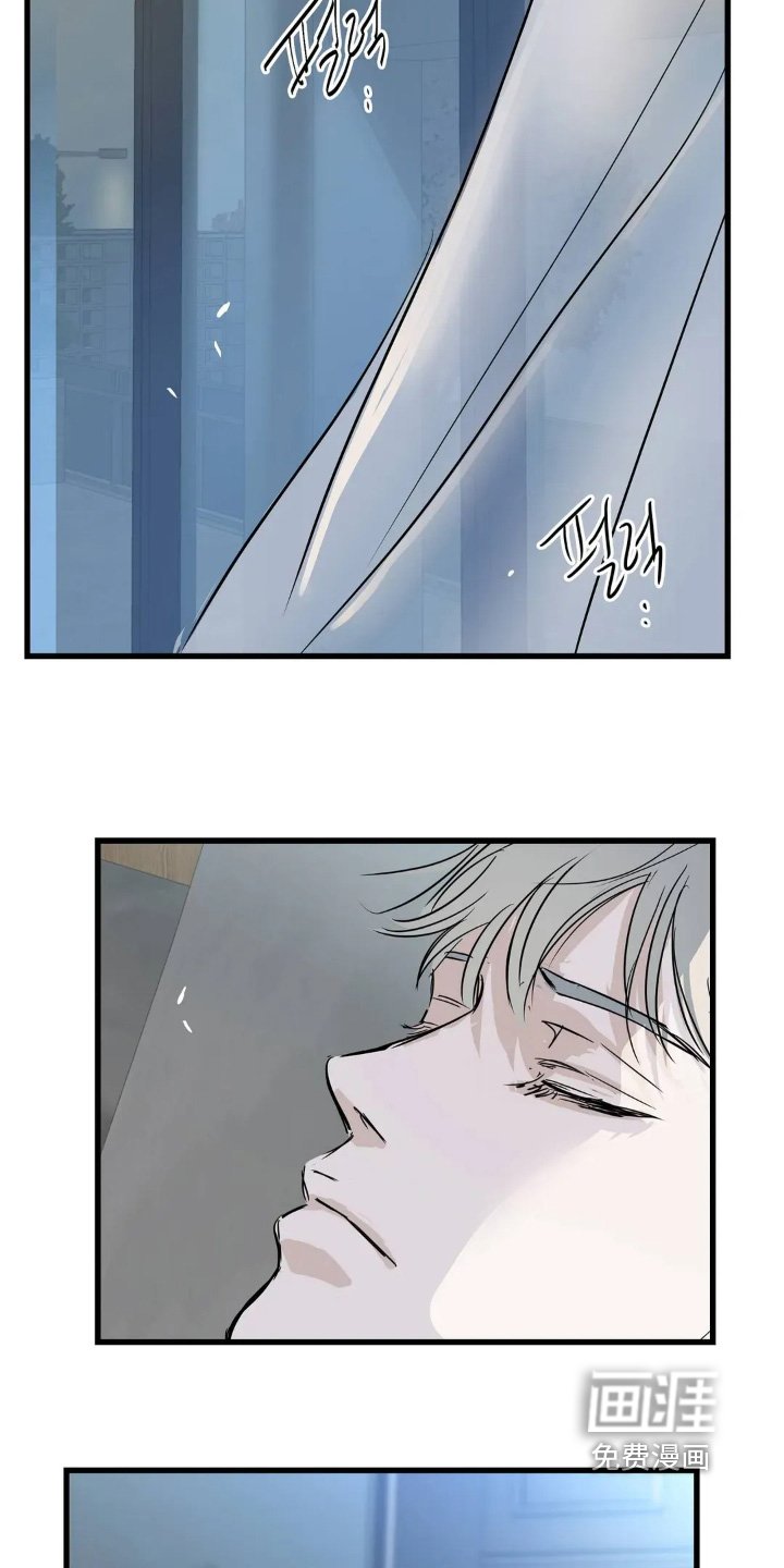 第33章：照片